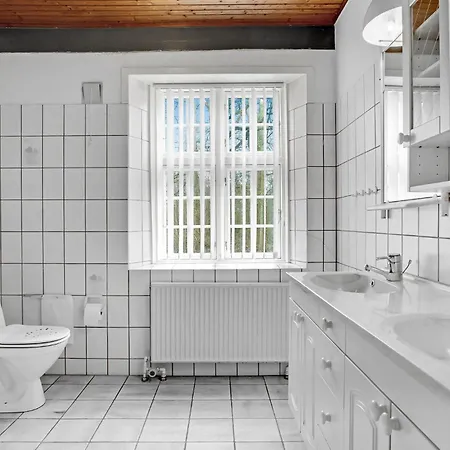 Engsvinget Hojer X *