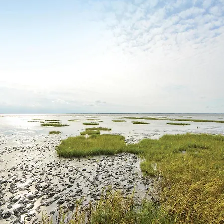 Engsvinget Hojer X Højer